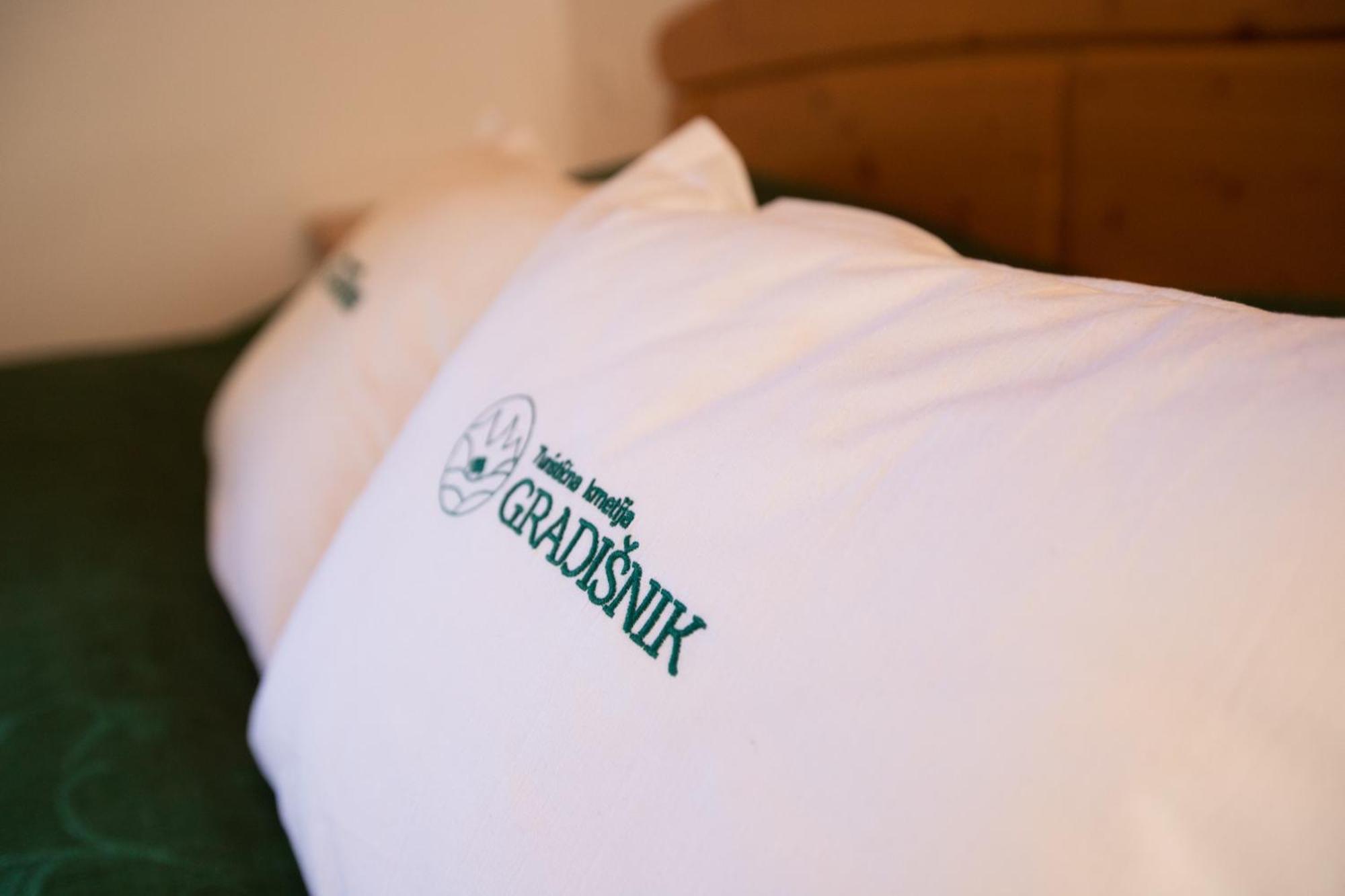 SolčavaTourist Farm Gradisnik公寓 外观 照片