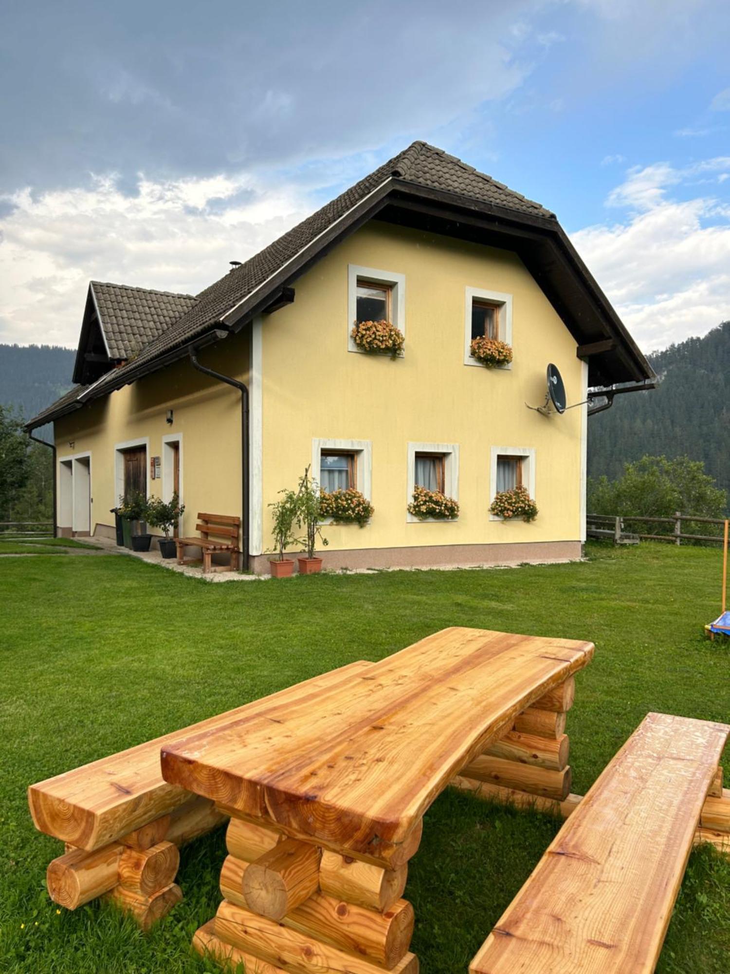 SolčavaTourist Farm Gradisnik公寓 外观 照片