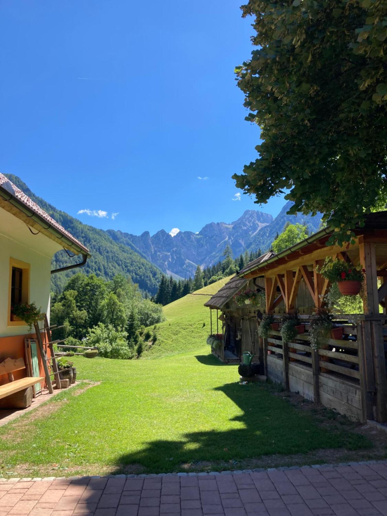 SolčavaTourist Farm Gradisnik公寓 外观 照片