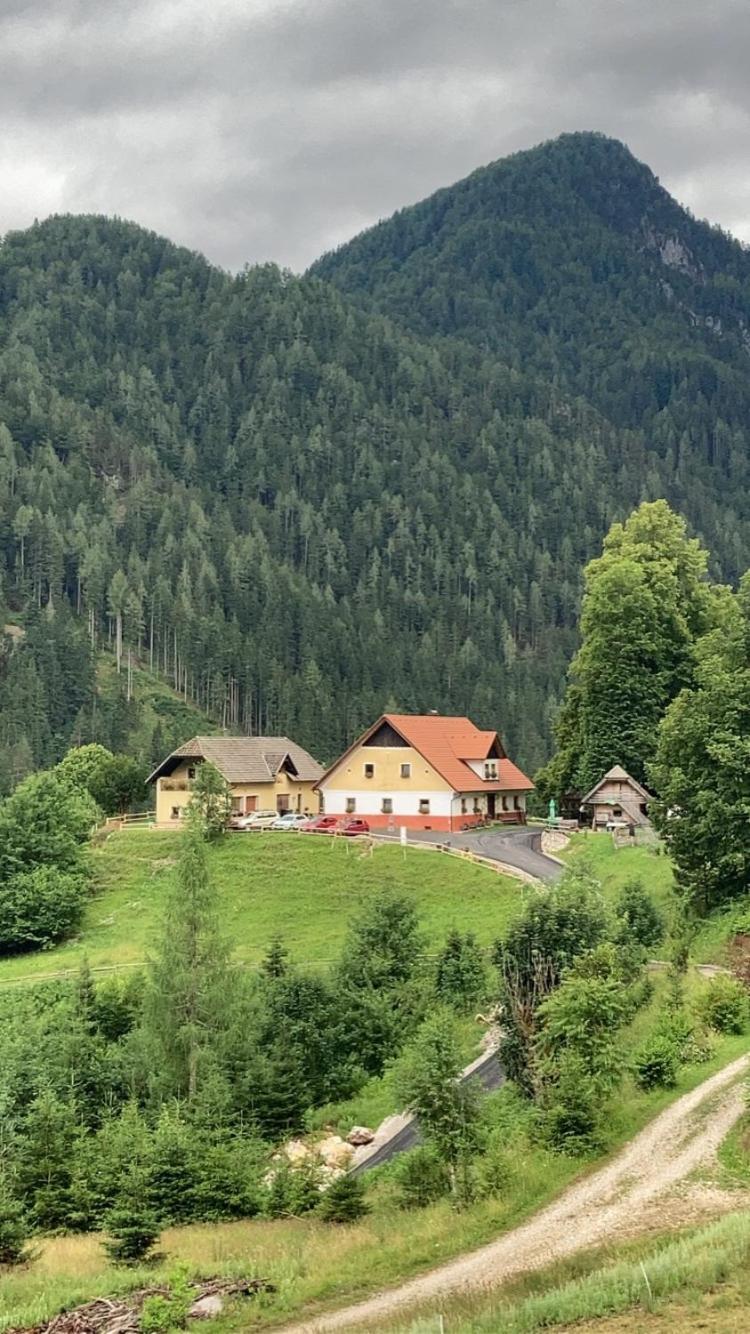 SolčavaTourist Farm Gradisnik公寓 外观 照片