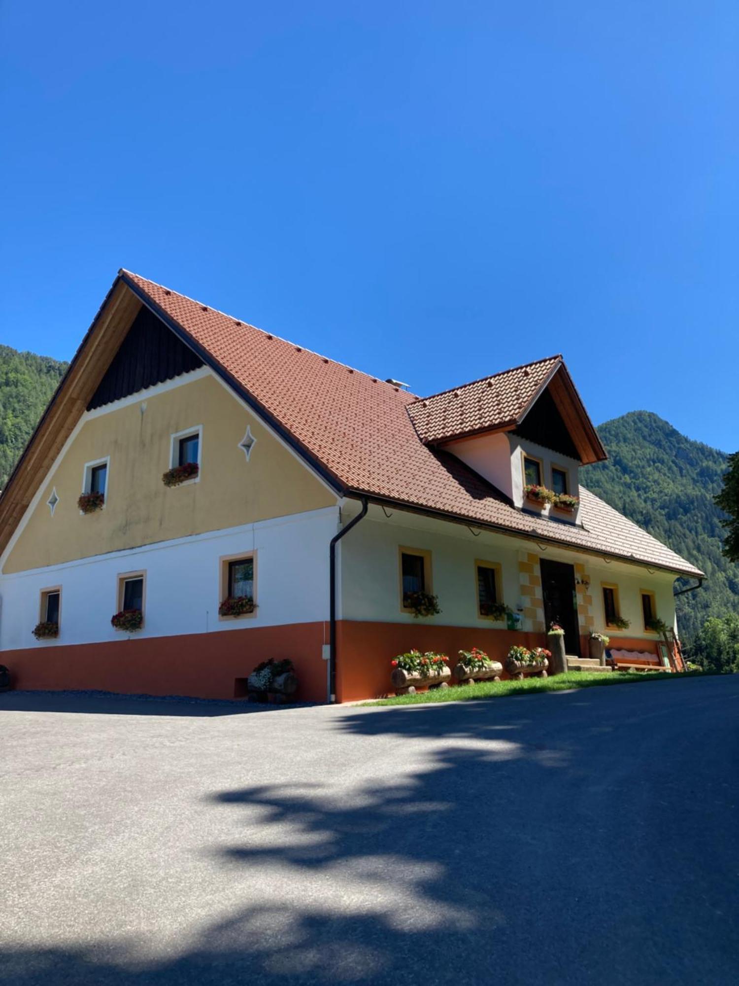 SolčavaTourist Farm Gradisnik公寓 外观 照片