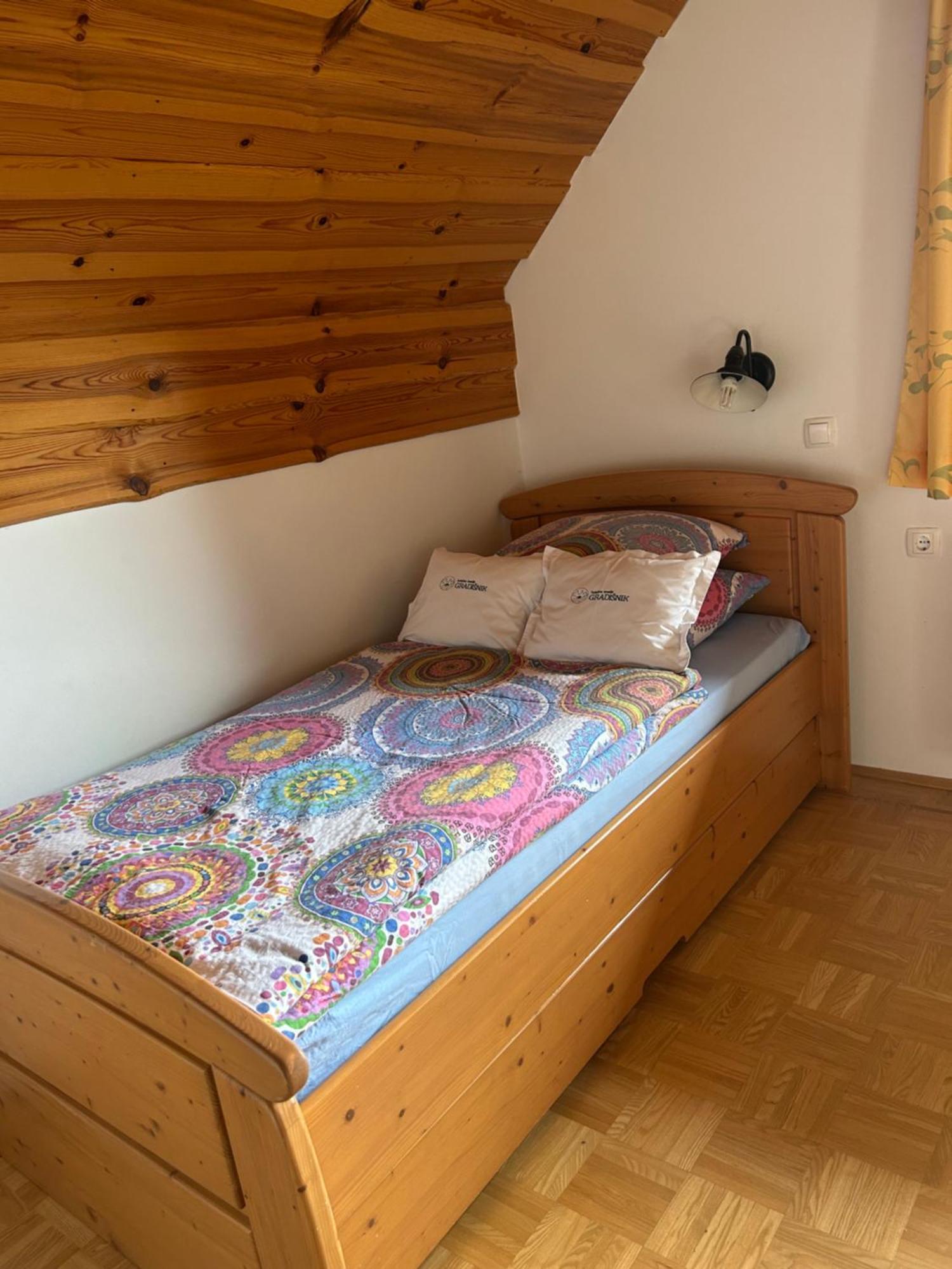 SolčavaTourist Farm Gradisnik公寓 外观 照片