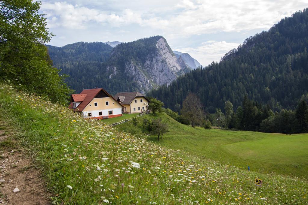 SolčavaTourist Farm Gradisnik公寓 外观 照片