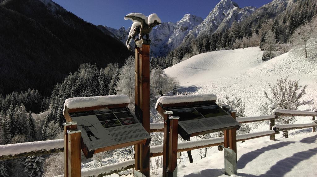 SolčavaTourist Farm Gradisnik公寓 外观 照片