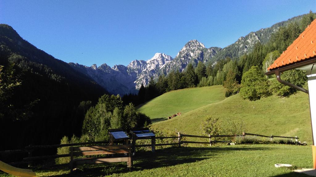 SolčavaTourist Farm Gradisnik公寓 外观 照片